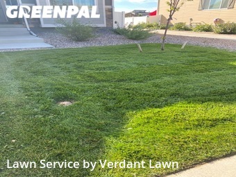 Lawn Cut nearby Loveland, CO, 