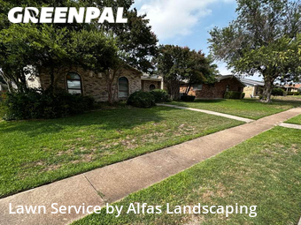 Grass Cut nearby The Colony, TX, 