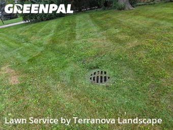 Yard Management in Wheaton, 60187, Yard Care by Terranova Landscape, work completed in Dec , 2025