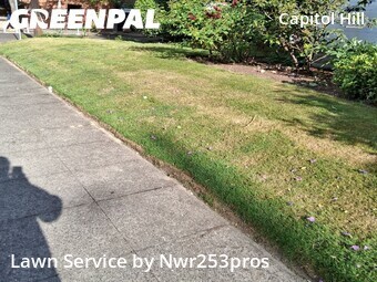Lawn Mow nearby Seattle, WA, 
