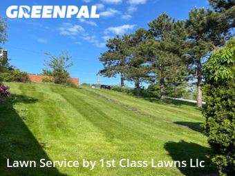 Grass Cut nearby Irwin, PA, 