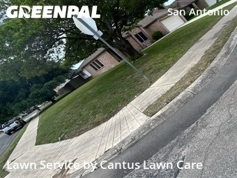 Lawn Cutting nearby San Antonio, TX, 