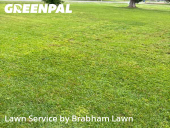 Lawn Care nearby Gonzales, LA, 