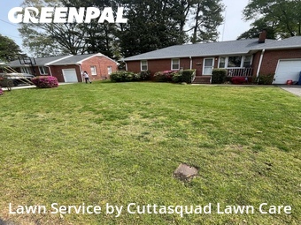 Grass Cut nearby Virginia Beach, VA, 