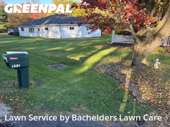 Grass Cuttingin Mansfield,44903,Grass Cutting by Bachelders Lawn Care, work completed in Nov , 2025