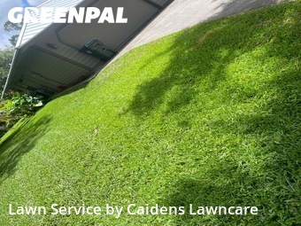 Lawn mowed in Greenacres, 33463