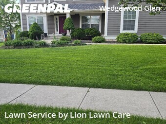 Work completed by grass-cutting-businesses-in in Dublin, CA