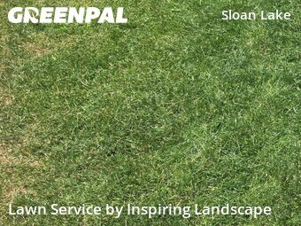 Lawn Care nearby Denver, CO, 