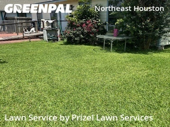 Lawn Servicein Houston,77029,Lawn Mowing by Prizel Lawn Services, work completed in Jun , 2026