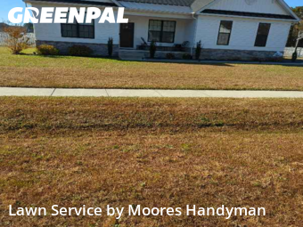 Yard Work in Georgetown, 19947, Lawn Work by Moores Handyman, work completed in Nov , 2025