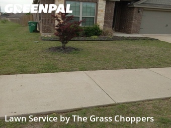 Lawn Cut nearby Denton, TX, 