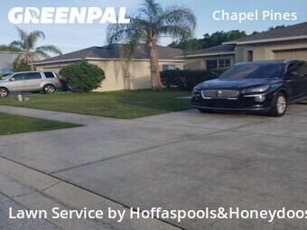 Lawn Mowin Wesley Chapel,33545,Grass Cut by Hoffaspools&Honeydoos, work completed in Jun , 2026