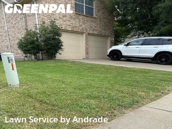 Lawn Mow nearby Grand Prairie, TX, 