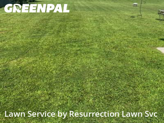 Grass Cut nearby Greensboro, NC, 