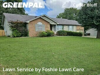 Yard Cutting nearby Nashville, TN, 