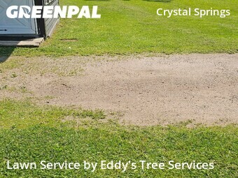 Lawn Maintenance nearby Grand Rapids, MI, 