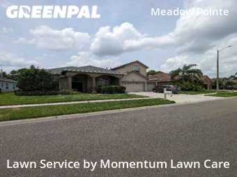 Lawn Maintenance nearby Wesley Chapel, FL, 