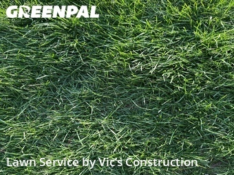 Yard Cuttingin Joliet,60435,Lawn Mowing Service by Vic’s Construction , work completed in Jun , 2026