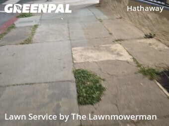 Work completed by local-lawn-care-services-in-San Jose-CA