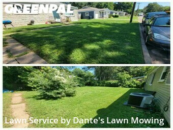 Grass Cut nearby Springfield, MO, 