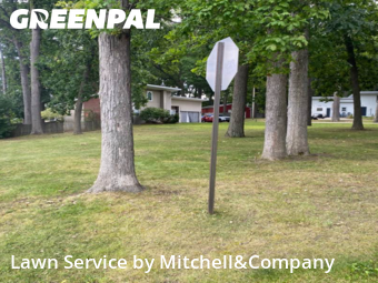 Yard Mowing in Waterford Township, 48328, Yard Upkeep by Mitchell&Company, work completed in Oct , 2025