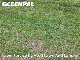 Yard Cutting nearby Hamilton, OH, 