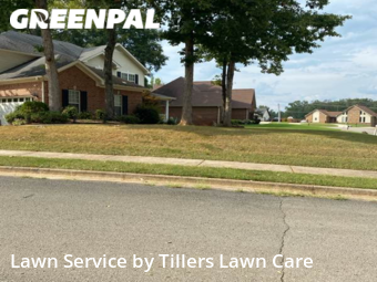 Lawn Cut nearby Harvest, AL, 