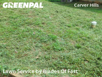 Lawn Cutting nearby Atlanta, GA, 