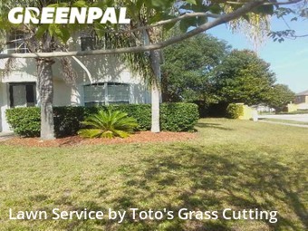 Lawn Mowing nearby Ocoee, FL, 