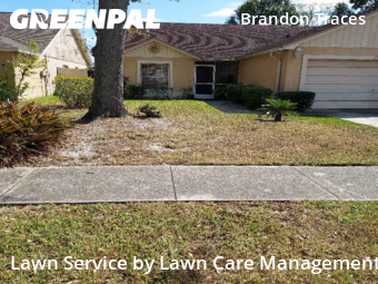 Yard Mowing nearby Brandon, FL, 