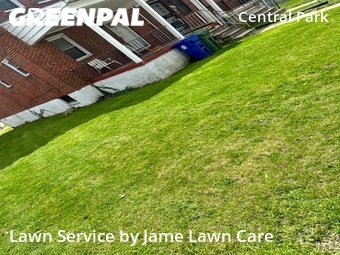 Yard Cutting nearby Baltimore, MD, 