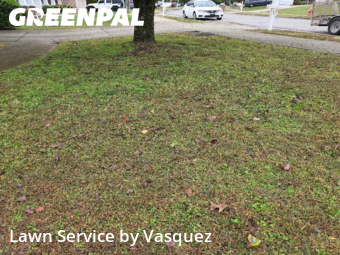 Lawn Care Service nearby Nashville, TN, 