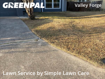 Lawn Service nearby San Antonio, TX, 