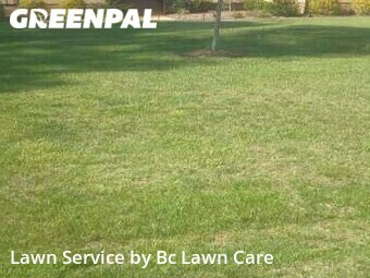 Grass Cut nearby Raleigh, NC, 