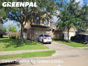 Grass Cut nearby Houston, TX, 