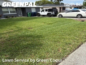 Grass Cut nearby Tampa, FL, 