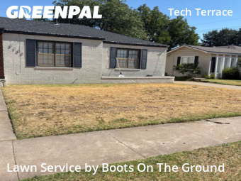 Lawn Care Service nearby Lubbock, TX, 