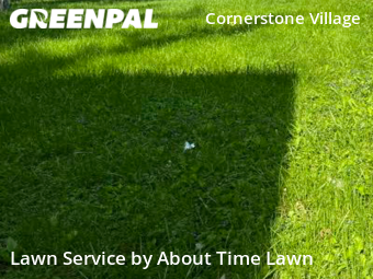 Grass Cut nearby Detroit, MI, 