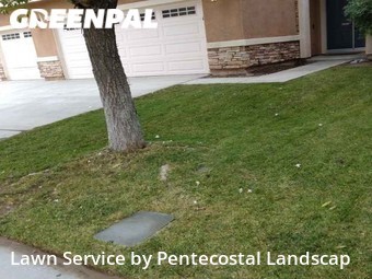 Lawn Mow nearby Lake Elsinore, CA, 