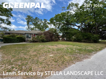 Grass Cut nearby Jacksonville, FL, 