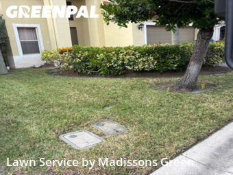 Lawn Maintenance in Riviera Beach, 33407, Lawn Cutting by Madissons Green, work completed in Nov , 2025