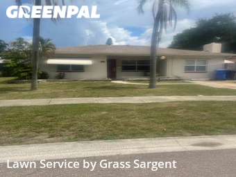 Lawn Mowing nearby St. Petersburg, FL, 