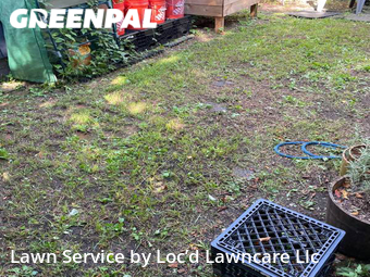 Lawn Cut nearby New Orleans, LA, 