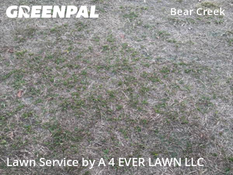 Lawn Service nearby New Port Richey, FL, 