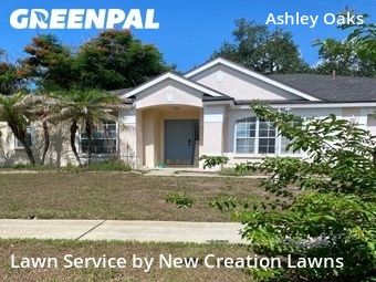 Lawn Care nearby Riverview, FL, 