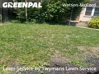 Lawn Cutting nearby Indianapolis, IN, 