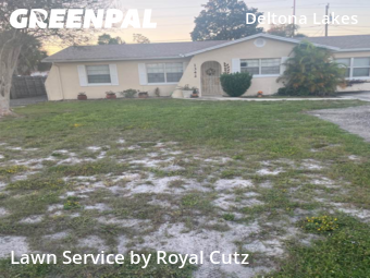 Yard Cutting in Deltona, 32725, Turf Services by Royal Cutz, work completed in Oct , 2025