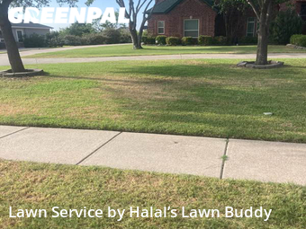 Yard Mowing nearby Cedar Hill, TX, 