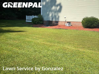 Grass Cut nearby Lillington, NC, 
