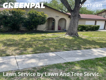 Grass Cut nearby San Antonio, TX, 